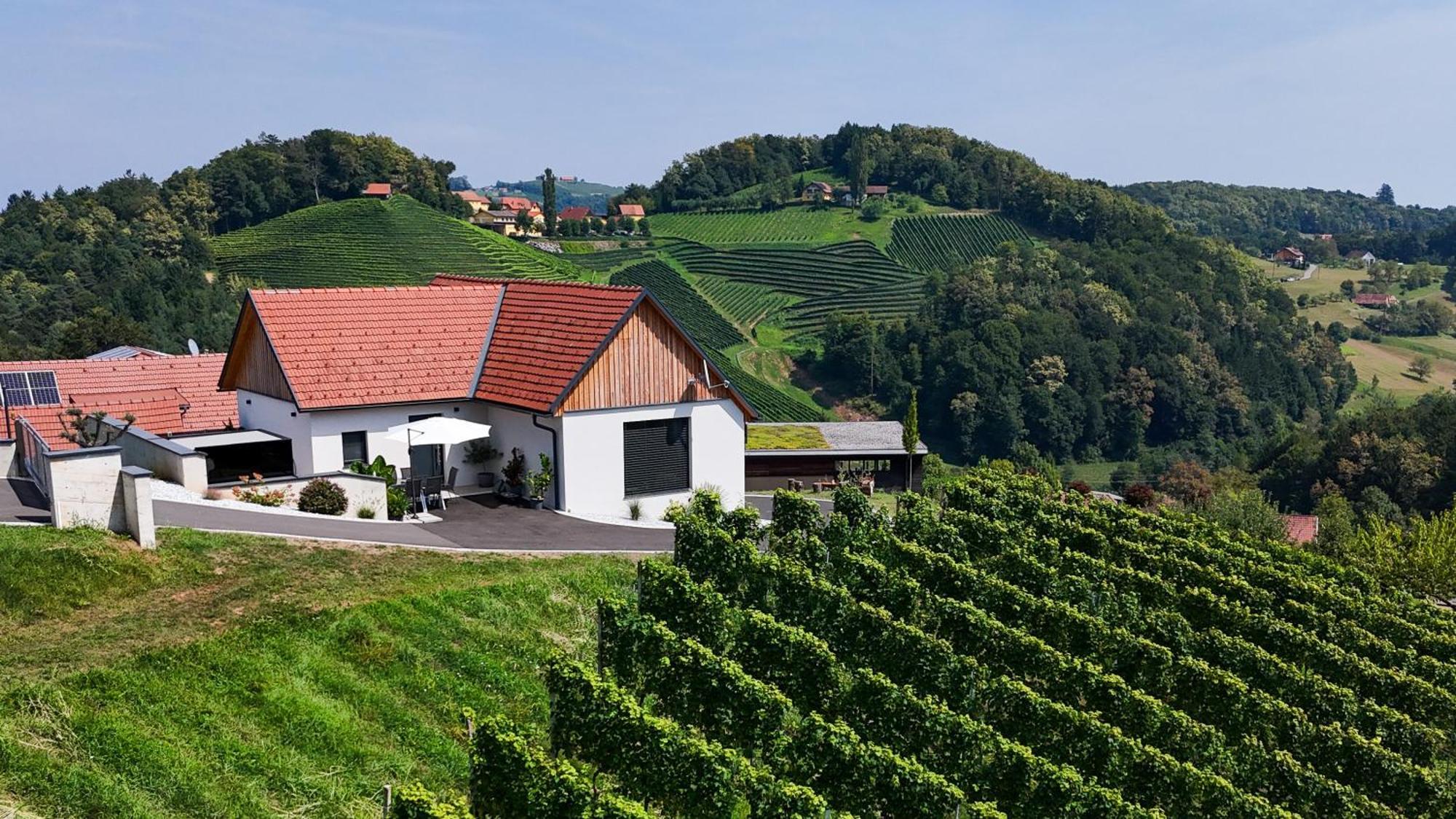 Chalet Sgarz Kitzeck im Sausal Zewnętrze zdjęcie